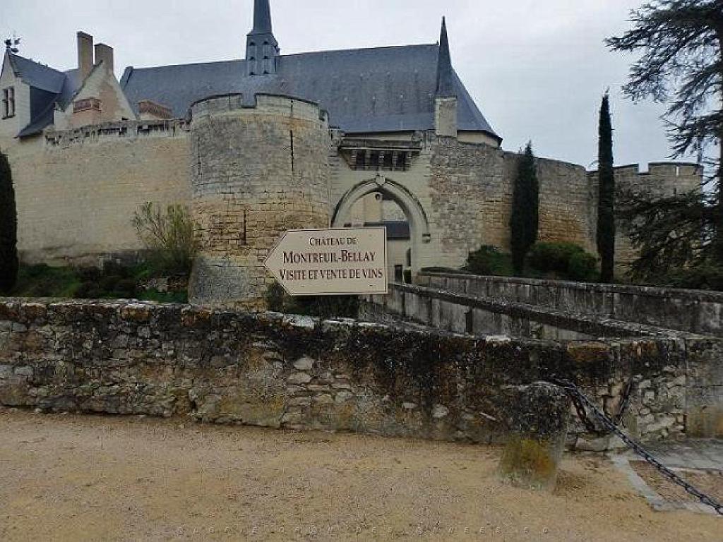 149 CHATEAU DE MONTREUIL BELLAY MAINE ET LOIRE 2016_000006.jpg